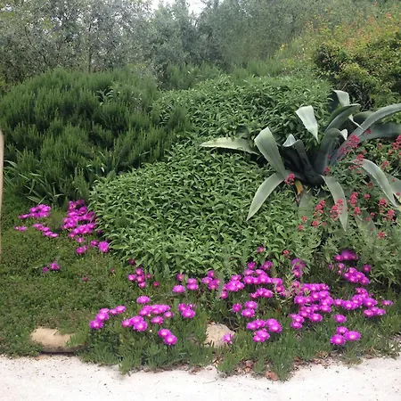 Parco San Bartolo