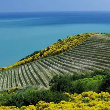 Parco San Bartolo Casa vacanze