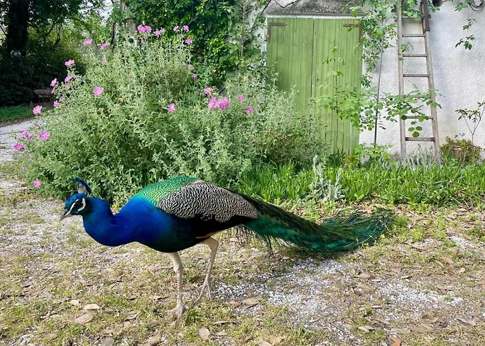 Parco San Bartolo Pesaro